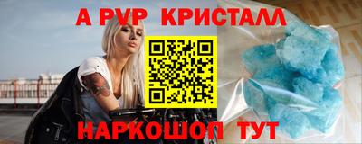 гашик Донской