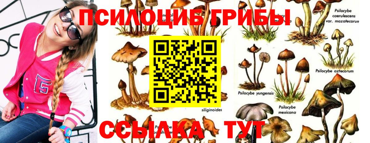 Галлюциногенные грибы Psilocybe  Галлюциногенные грибы Psilocybine cubensis  Вход с VPN  Назрань 